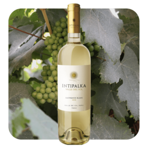 Varietales Sauvignon Blanc
