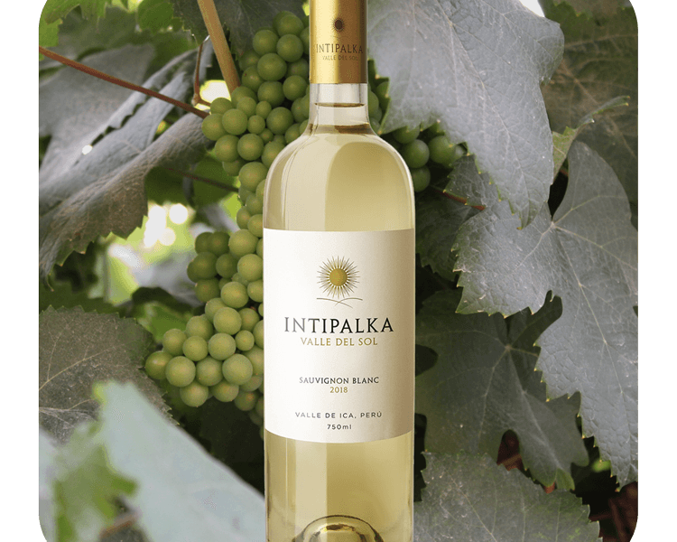 Varietales Sauvignon Blanc