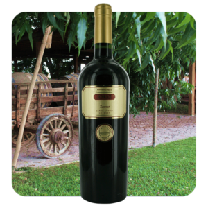 Bodegas Carrau Amat Tannat