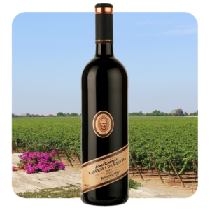 Bodegas Carrau Cabernet