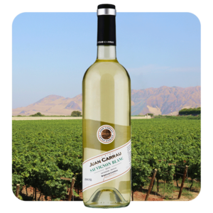 Bodegas Carrau Sauvignon Blanc