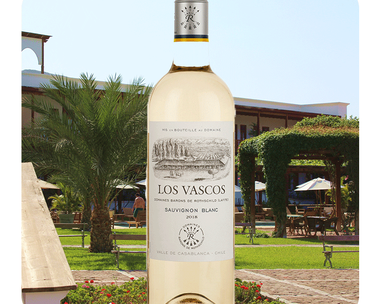 Los Vascos Sauvignon Blanc