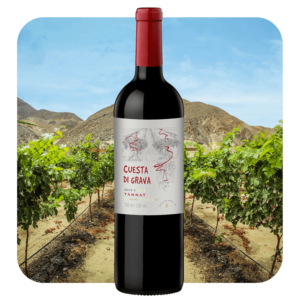 Cuesta di Grave Tannat Uruguay