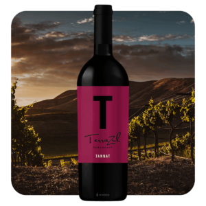 Bodegas Terrazul