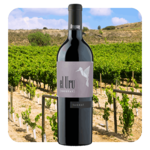 Bodega Terrazul - El Uru