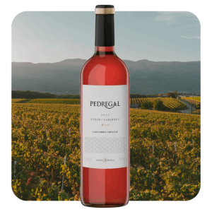 Pedregal - Tannat-Rosé