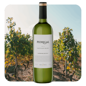 Pedregal - Sauvignon Blanc