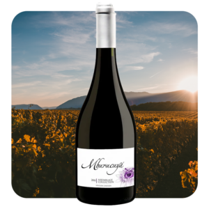 Mburucuyá Assemblage Collection 2015