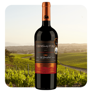 Cepas de Altura Cabernet Sauvignon