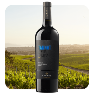 Campos de Solana Tannat