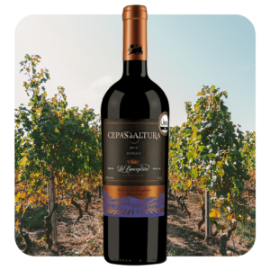 Cepas de Altura Syrah