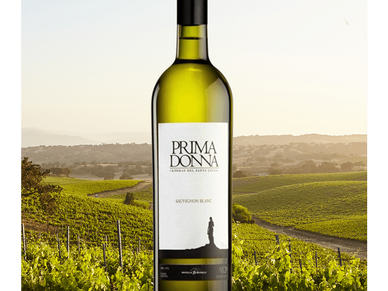 prima-donna-sauvignon-blanc