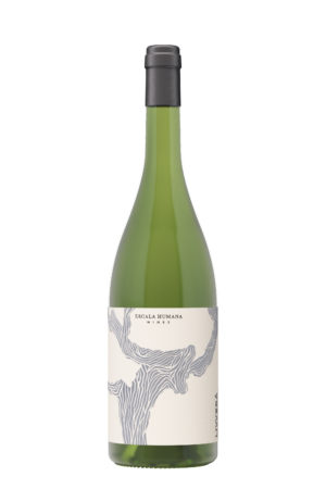Livverá Chenin Blanc