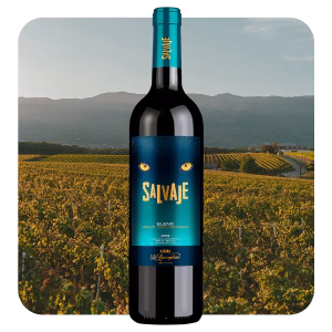Salvaje Vino Tinto Blend