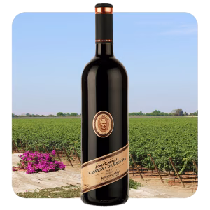 Bodegas Carrau Cabernet de Reserva