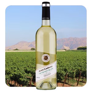 Bodegas Carrau Sauvignon Blanc