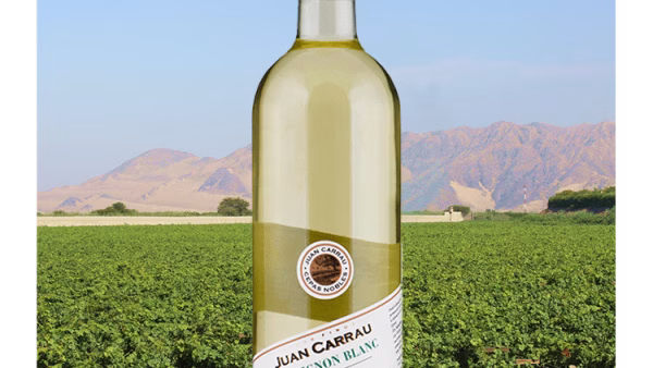 Bodegas Carrau Sauvignon Blanc