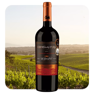 Cepas de Altura Cabernet Sauvignon