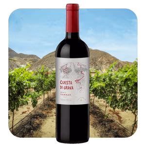 Cuesta di Grave Tannat