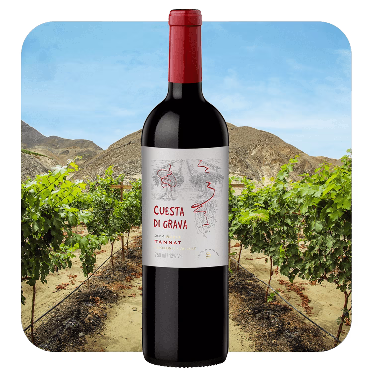 Cuesta di Grave Tannat