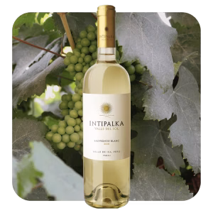 Intipalka Sauvignon Blanc