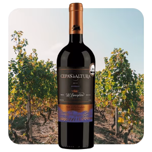 Cepas de Altura Syrah