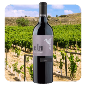 Bodega Terrazul El Uru