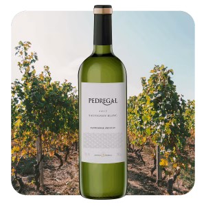Pedregal Sauvignon Blanc