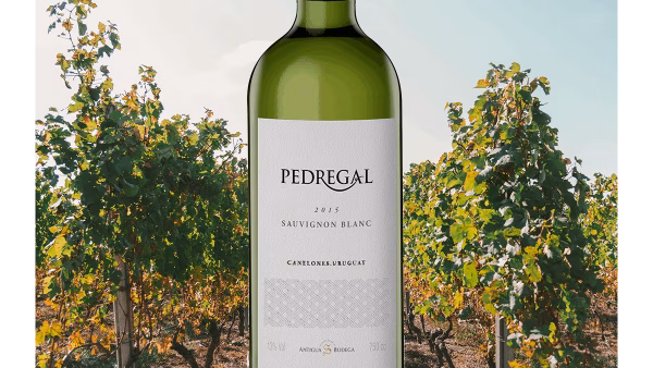 Pedregal Sauvignon Blanc
