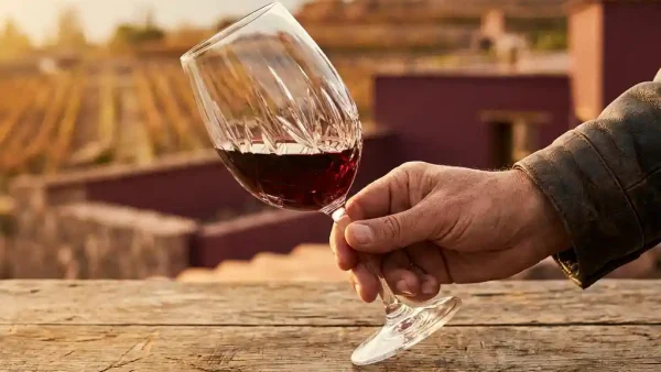 Sommelier kantelt kristallen wijnglas met robijnrode wijn boven rustieke houten tafel, met Andeswijngaard op de achtergrond.