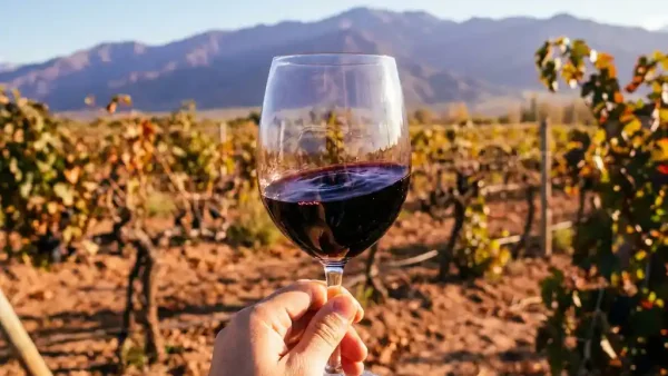 Donkerrode tannat wijn in een bordeauxglas, zwenkend boven terracottabodem en wilde wijnranken in een zonnig Andes-wijngaard.