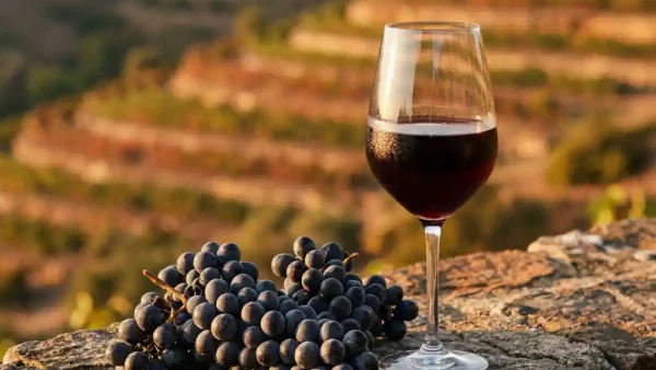 Donkerrood glas tannat-wijn op rustiek stenen oppervlak, naast donkere druiventrossen, met Andeswijngaardterrassen op de achtergrond.