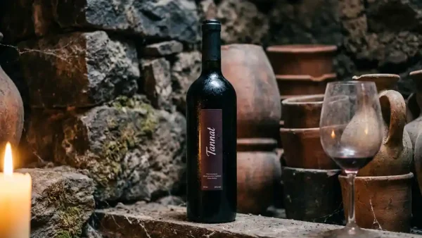 Tannat-wijnfles in een stenen kelder met terracotta muren, stoffig wijnglas en kaarslicht in bordeauxrode tonen.