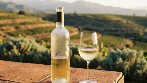 Gekoelde fles witte wijn met condensdruppels op terracotta ondergrond, gevuld glas in goudkleurig middaglicht, Andeswijngaard op de achtergrond.